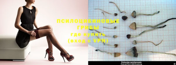 ешки Липки