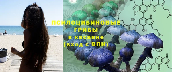 ешки Липки