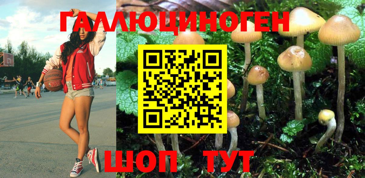 Галлюциногенные грибы MAGIC MUSHROOMS  Вход с VPN  Алексеевка 