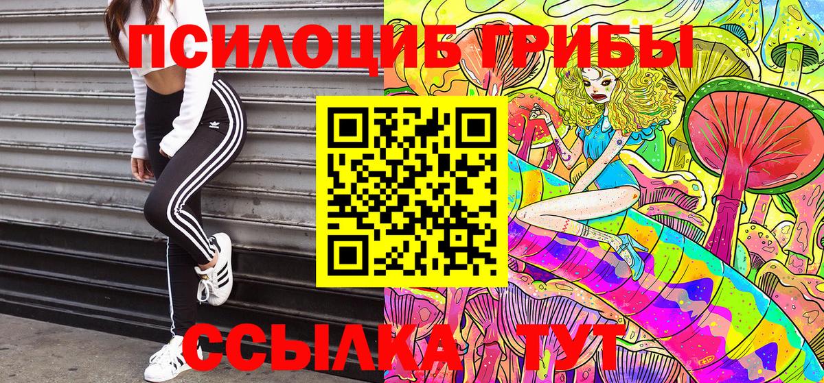 Галлюциногенные грибы GOLDEN TEACHER Алексеевка